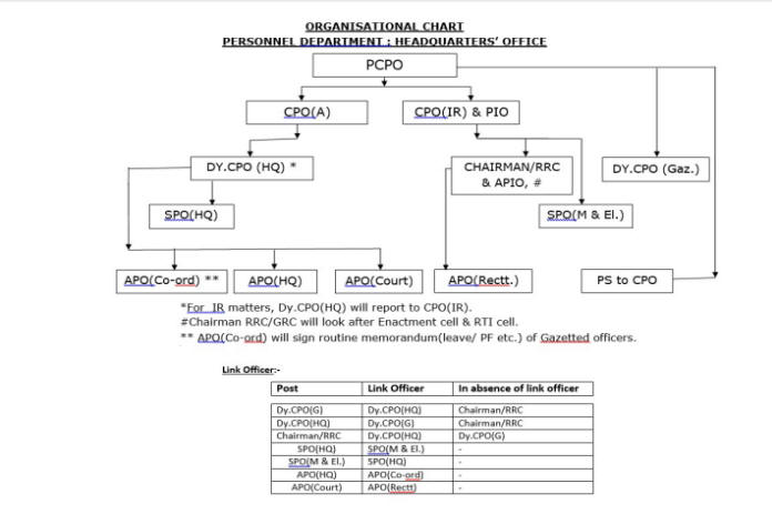 Organisation Chart